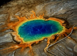 ��� ������. �����